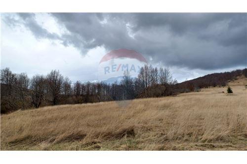 Za prodaju-Poljoprivredno zemljište-stari laz  -  Ravna Gora, Hrvatska-300741001-211