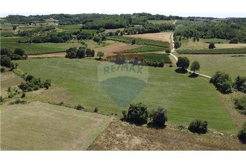 For Sale-Plot of Land for Agriculture-vižinada  -  Vižinada, Croatia-300391031-277
