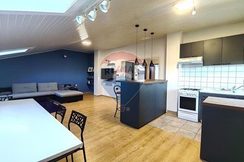 Commercial - Sale of Business - Sveti Ivan Zelina, Croatia - HR