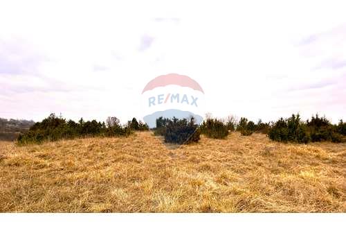 Za prodaju-Poljoprivredno zemljište-završje  -  Grožnjan, Hrvatska-300441015-166