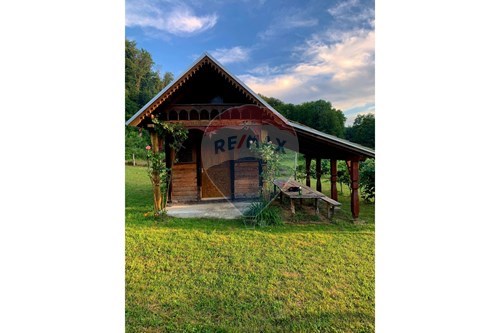 Za prodaju-Poljoprivredno zemljište-Gora  -  Petrinja, Hrvatska-300761006-82