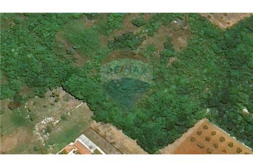 For Sale-Plot of Land for Agriculture-Tar-Vabriga - Torre - Abrega, Croatia-300391007-400