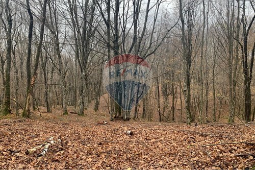 Za prodaju-Poljoprivredno zemljište-Blatuša  -  Gvozd, Hrvatska-300261103-1283