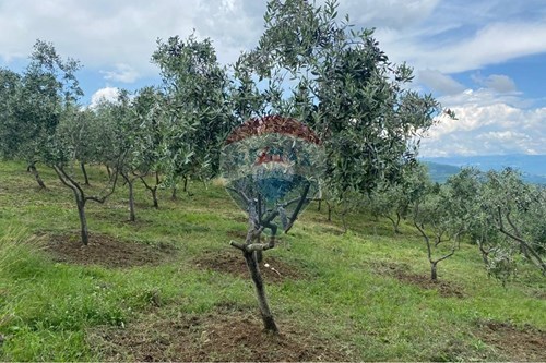 Za prodaju-Zemljište-Cerovlje  -  Cerovlje, Hrvatska-300391034-335