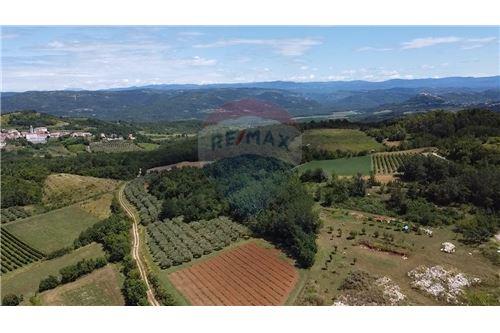 For Sale-Plot of Land for Agriculture-cvitani  -  Višnjan, Croatia-300391024-308