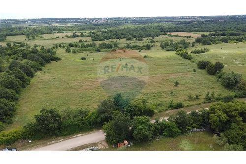 מכירה-חלקת אדמה לחקלאות-Tar-Vabriga - Torre - Abrega, קרואטיה-300391031-260