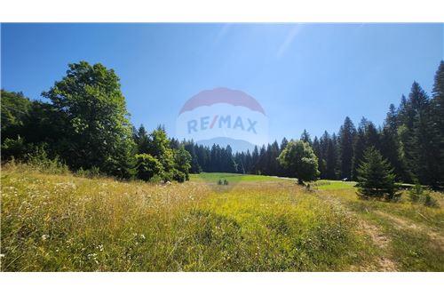Za prodaju-Poljoprivredno zemljište-sunger  -  Mrkopalj, Hrvatska-300741001-197