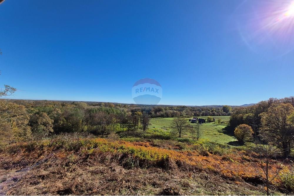 Građevinsko zemljište - Za prodaju - Petrinja, Hrvatska - 20251024_111353.jpg - 300761006-59