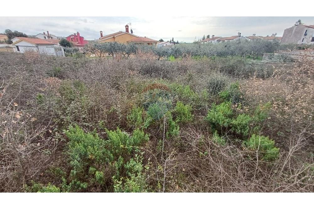 Residential - भूमि - Vodnjan, क्रोएशिया - HR - 20250321_095137_resized.jpg - 300041074-608