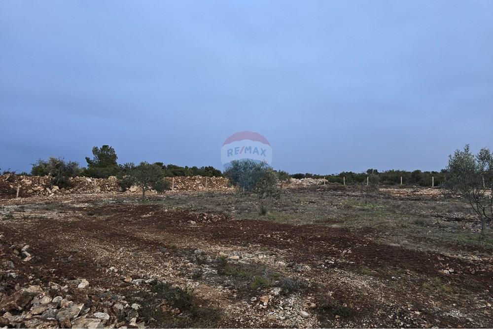 Građevinsko zemljište - Za prodaju - Sveti Filip I Jakov, Hrvatska - r1.jpeg - 300501033-33
