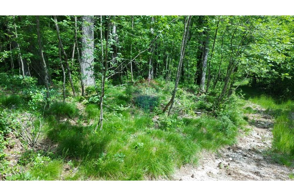 Residential - Land - Klana, Kroatia - HR - 1749550032_20250528_111400.jpg - 300031005-1900