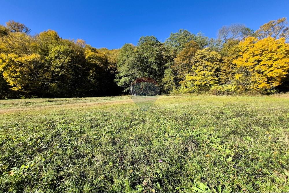 Građevinsko zemljište - Za prodaju - Petrinja, Hrvatska - 20251024_105357.jpg - 300761006-43