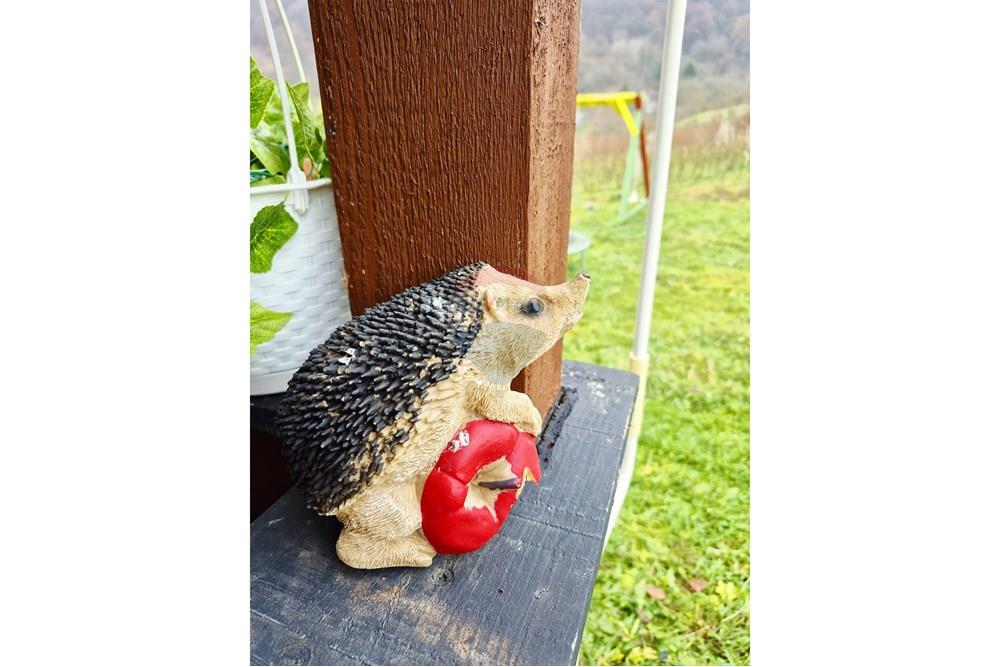 Vikendica - Za prodaju - Petrinja, Hrvatska - WhatsApp Image 2025-12-19 at 13.27.49.jpeg - 300761006-81