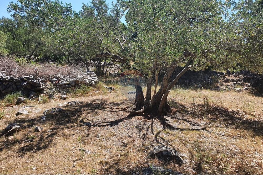 Građevinsko zemljište - Za prodaju - Pakoštane, Hrvatska - 20210614_110639.jpg - 300501033-45