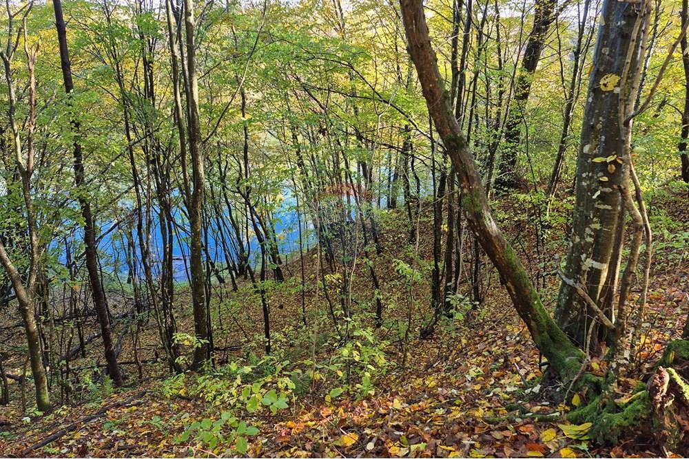 Građevinsko zemljište - Za prodaju - Petrinja, Hrvatska - 20251024_091912.jpg - 300761006-75