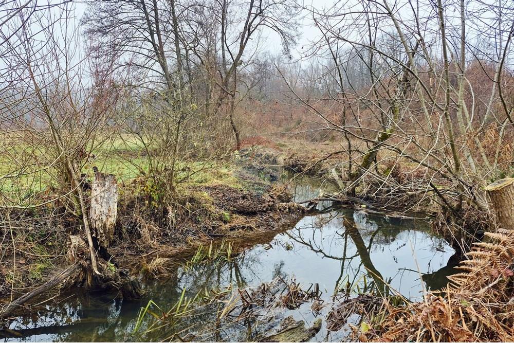 Poljoprivredno zemljište - Za prodaju - Petrinja, Hrvatska - WhatsApp Image 2025-12-19 at 17.40.43 (3).jpeg - 300761006-82