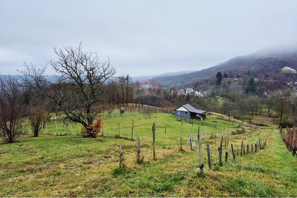 Vikendica - Za prodaju - Petrinja, Hrvatska - WhatsApp Image 2025-12-19 at 13.27.55.jpeg - 300761006-81