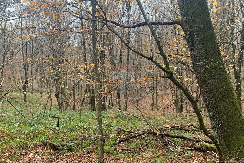 Poljoprivredno zemljište - Za prodaju - Gvozd, Hrvatska - WhatsApp Image 2025-11-24 at 09.13.50 (4).jpeg - 300261103-1283