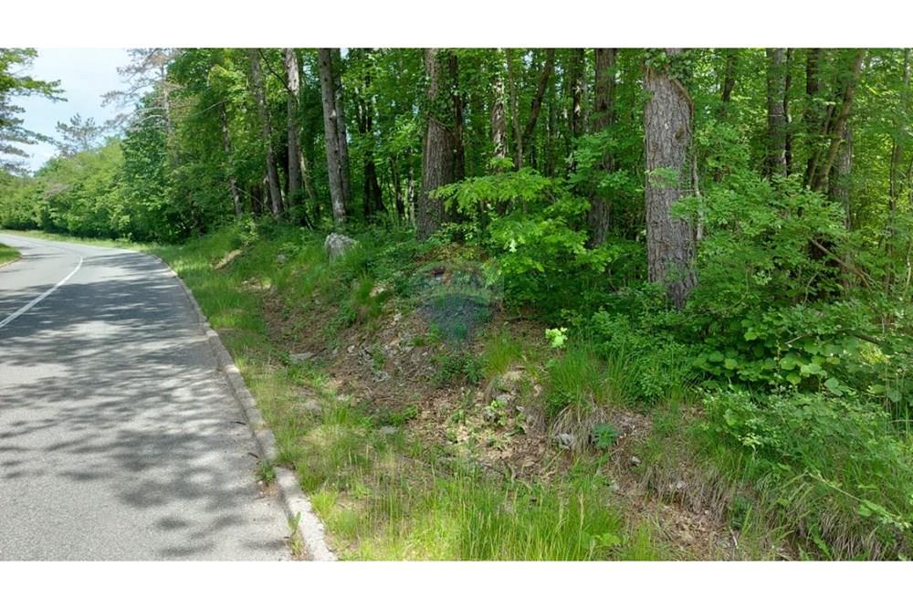 Residential - Land - Klana, Kroatia - HR - 1749550034_20250528_111413.jpg - 300031005-1900