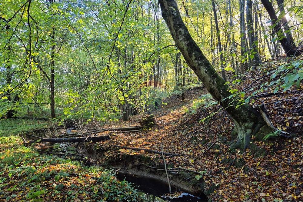 Građevinsko zemljište - Za prodaju - Petrinja, Hrvatska - 20251024_094701.jpg - 300761006-75