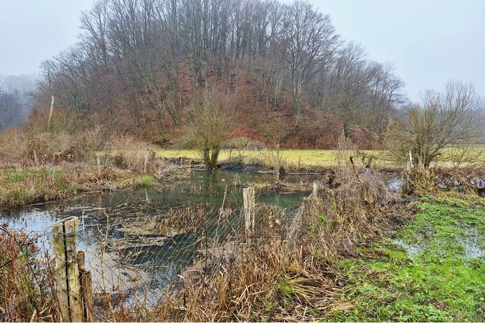 Poljoprivredno zemljište - Za prodaju - Petrinja, Hrvatska - WhatsApp Image 2025-12-19 at 17.40.43 (1).jpeg - 300761006-82