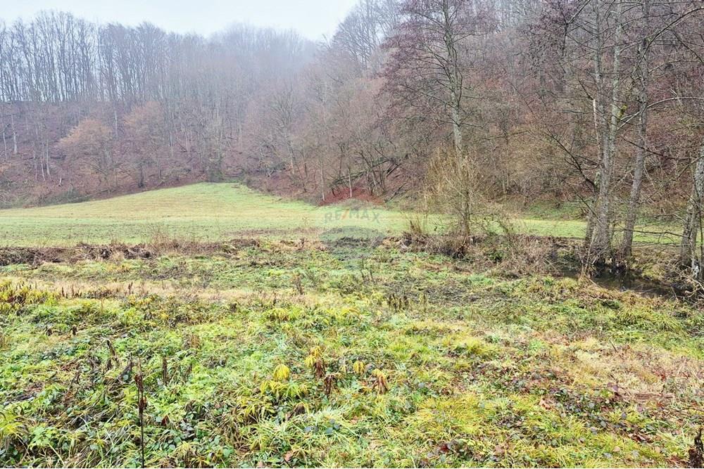 Poljoprivredno zemljište - Za prodaju - Petrinja, Hrvatska - WhatsApp Image 2025-12-19 at 17.40.43 (6).jpeg - 300761006-82