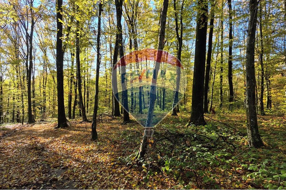 Građevinsko zemljište - Za prodaju - Petrinja, Hrvatska - 20251024_091435.jpg - 300761006-74