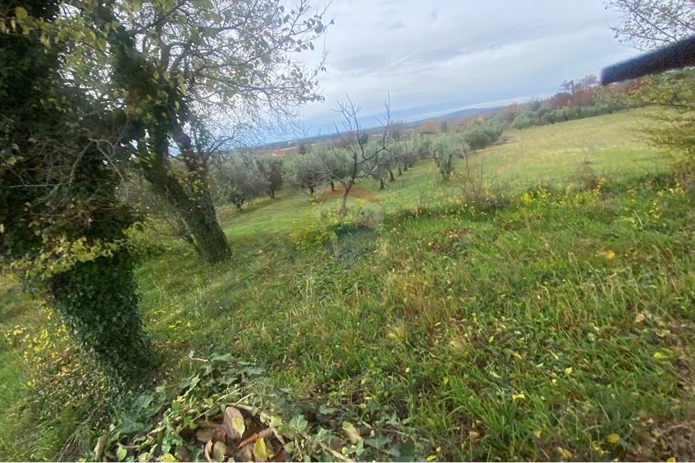 Građevinsko zemljište - Za prodaju - Benkovac, Hrvatska - IMG_3646.jpeg - 300501008-6056