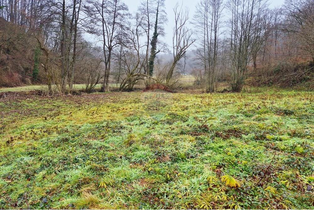 Poljoprivredno zemljište - Za prodaju - Petrinja, Hrvatska - WhatsApp Image 2025-12-19 at 17.40.43 (8).jpeg - 300761006-82