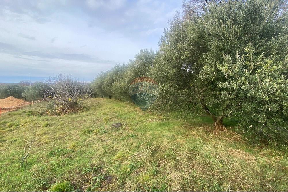 Građevinsko zemljište - Za prodaju - Benkovac, Hrvatska - IMG_3651.jpeg - 300501008-6056