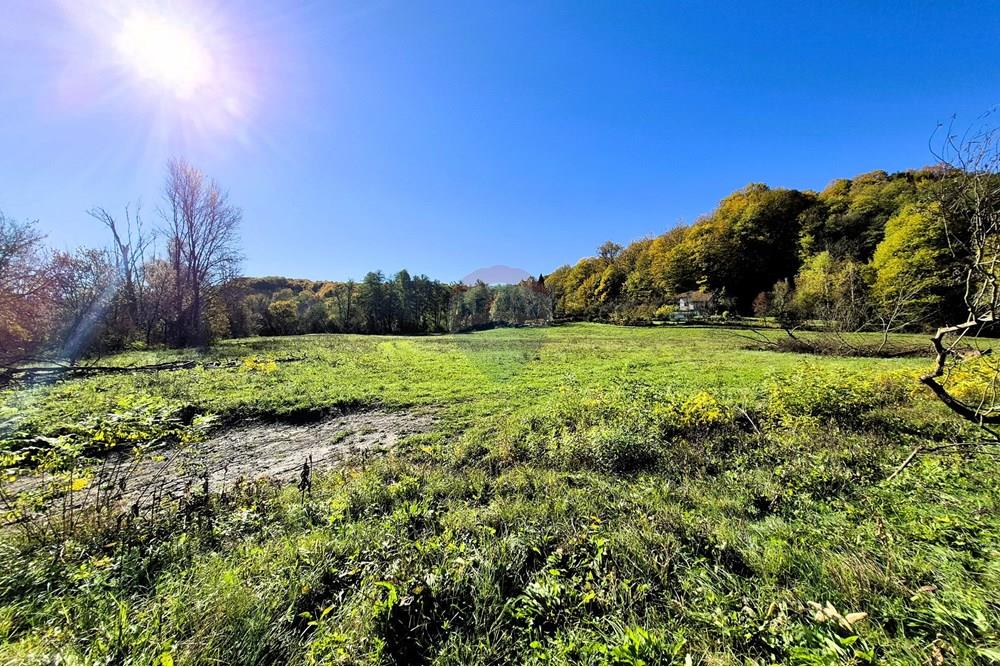 Građevinsko zemljište - Za prodaju - Petrinja, Hrvatska - 20251024_105530.jpg - 300761006-45