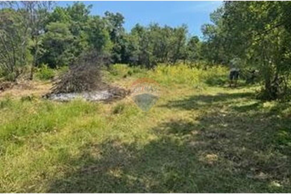 Residential - Land - Bakar, Croatia - HR - 1752755289_img_5889.jpeg - 300031136-217