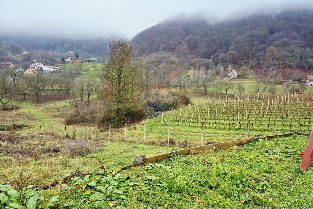 Vikendica - Za prodaju - Petrinja, Hrvatska - WhatsApp Image 2025-12-19 at 13.27.54 (3).jpeg - 300761006-81