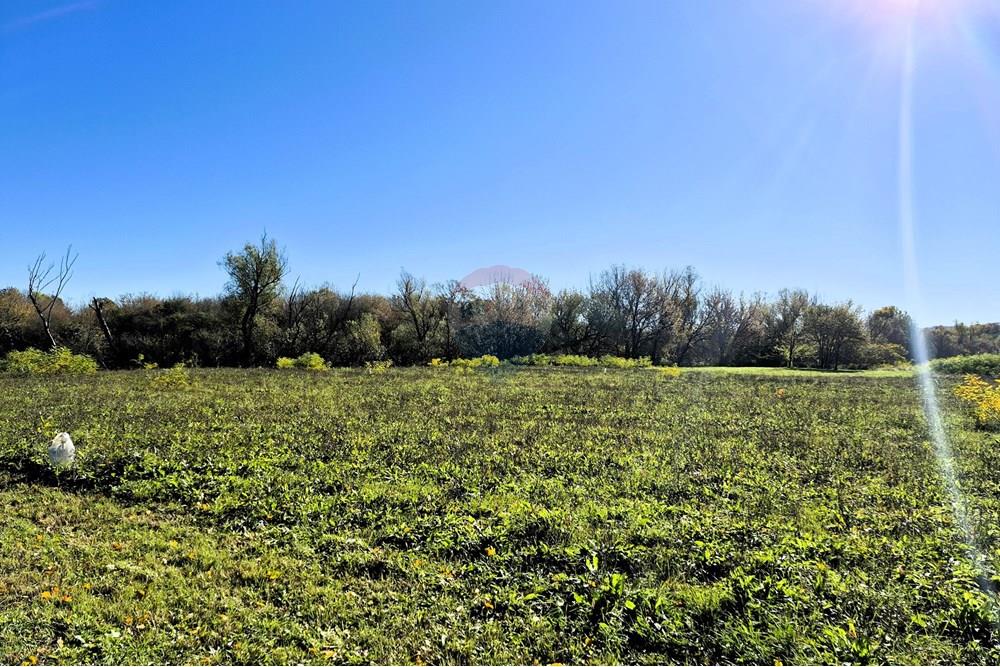 Građevinsko zemljište - Za prodaju - Petrinja, Hrvatska - 20251024_103852.jpg - 300761006-42