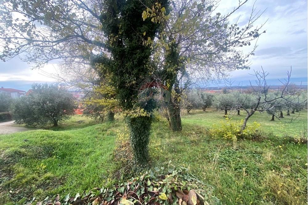 Građevinsko zemljište - Za prodaju - Benkovac, Hrvatska - IMG_3648.jpeg - 300501008-6056