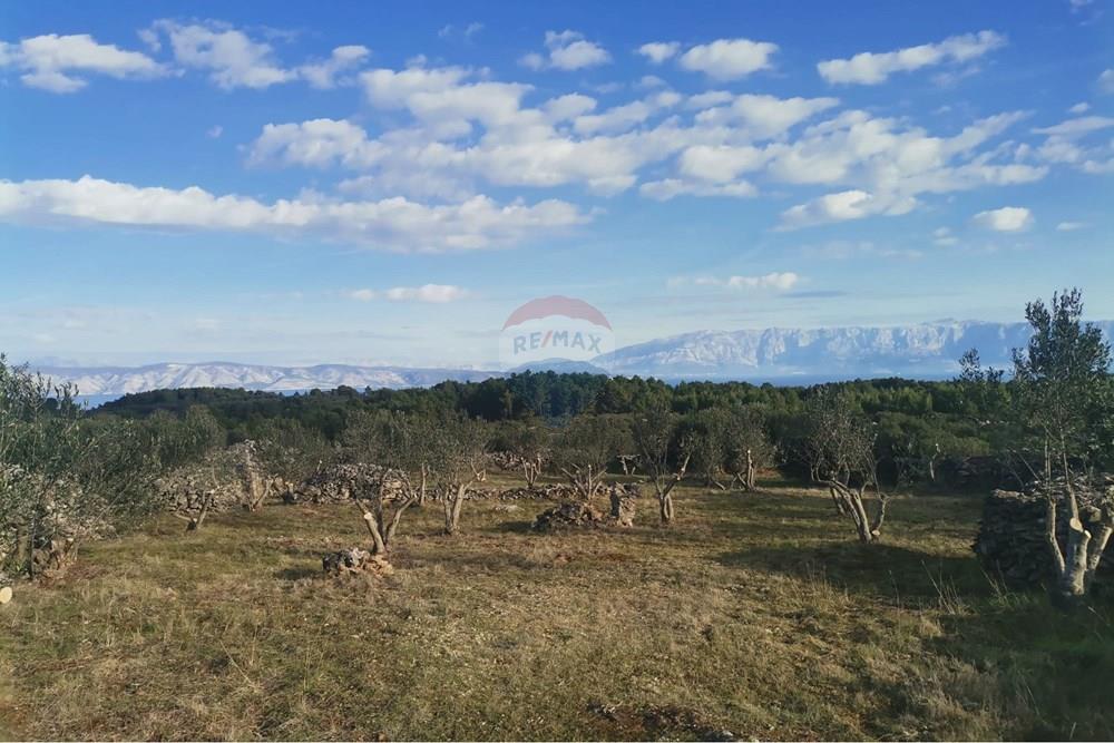 Poljoprivredno zemljište - Za prodaju - Jelsa, Hrvatska - IMG-20260223-WA0007.jpg - 300511016-223