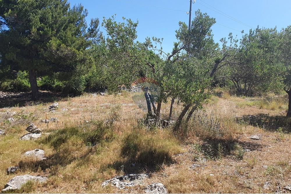 Građevinsko zemljište - Za prodaju - Pakoštane, Hrvatska - 20210614_110722.jpg - 300501033-45