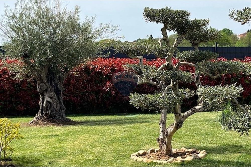 Kuća  - Za prodaju - Karojba, Hrvatska - IMG_8369.jpg - 300391028-413