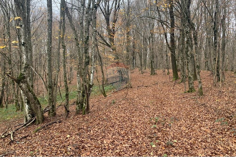 Poljoprivredno zemljište - Za prodaju - Gvozd, Hrvatska - WhatsApp Image 2025-11-24 at 09.13.50 (2).jpeg - 300261103-1283