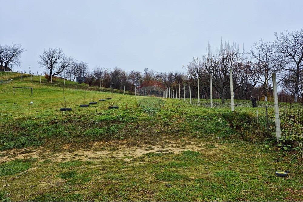 Vikendica - Za prodaju - Petrinja, Hrvatska - WhatsApp Image 2025-12-19 at 13.27.53.jpeg - 300761006-81