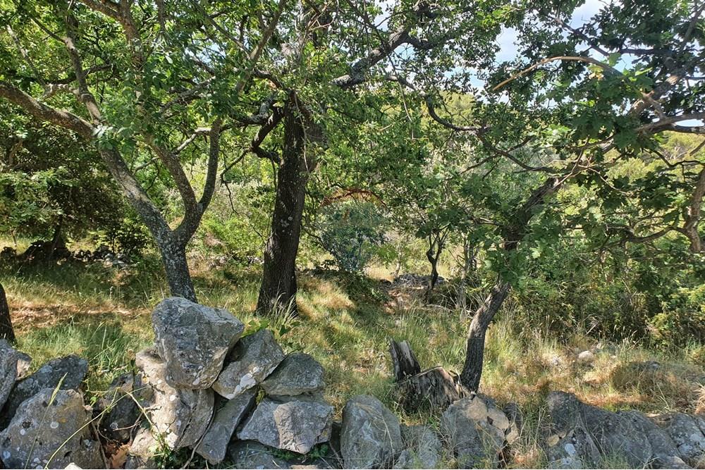 Građevinsko zemljište - Za prodaju - Pakoštane, Hrvatska - 20210614_110632.jpg - 300501033-45