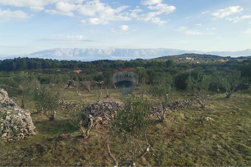 Poljoprivredno zemljište - Za prodaju - Jelsa, Hrvatska - IMG-20260223-WA0006.jpg - 300511016-223