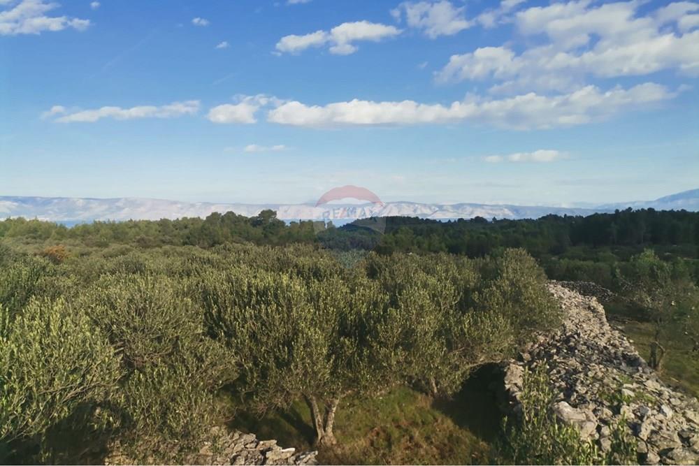 Poljoprivredno zemljište - Za prodaju - Jelsa, Hrvatska - IMG-20260223-WA0005.jpg - 300511016-223