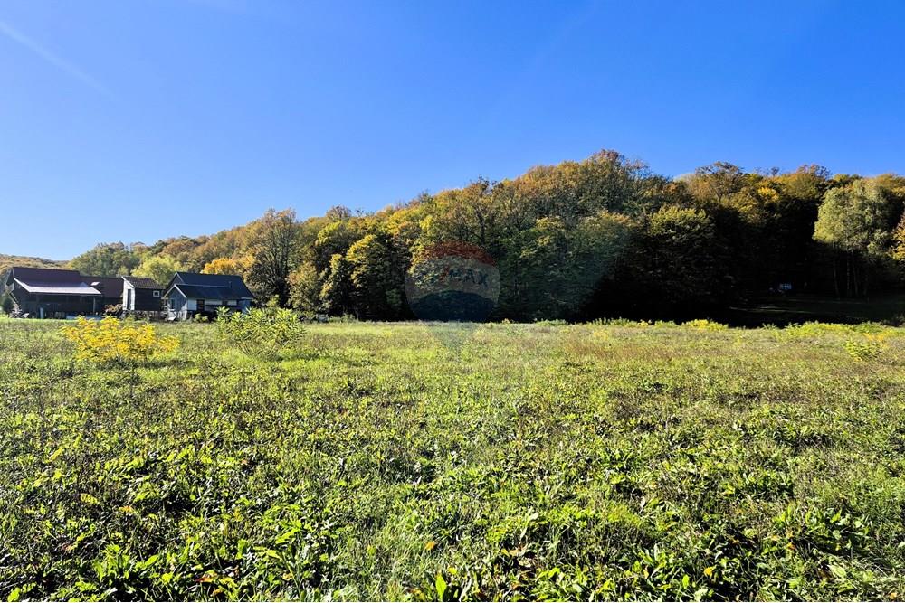 Građevinsko zemljište - Za prodaju - Petrinja, Hrvatska - 20251024_103904.jpg - 300761006-43