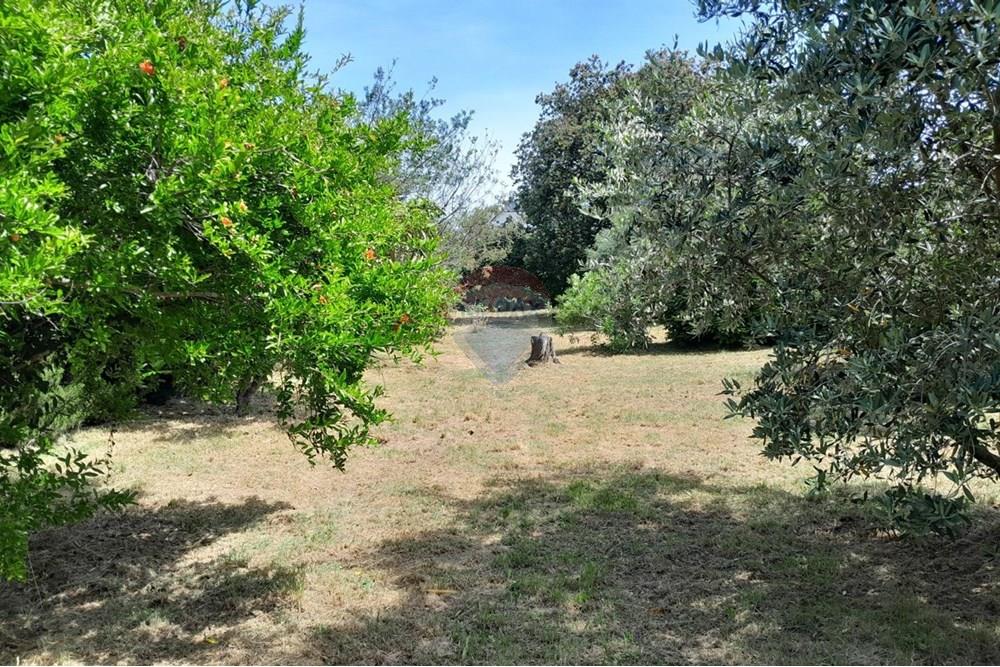 Zemljište - Za prodaju - Medulin, Hrvatska - 1751739318_20250604_141928.jpg - 300041089-446