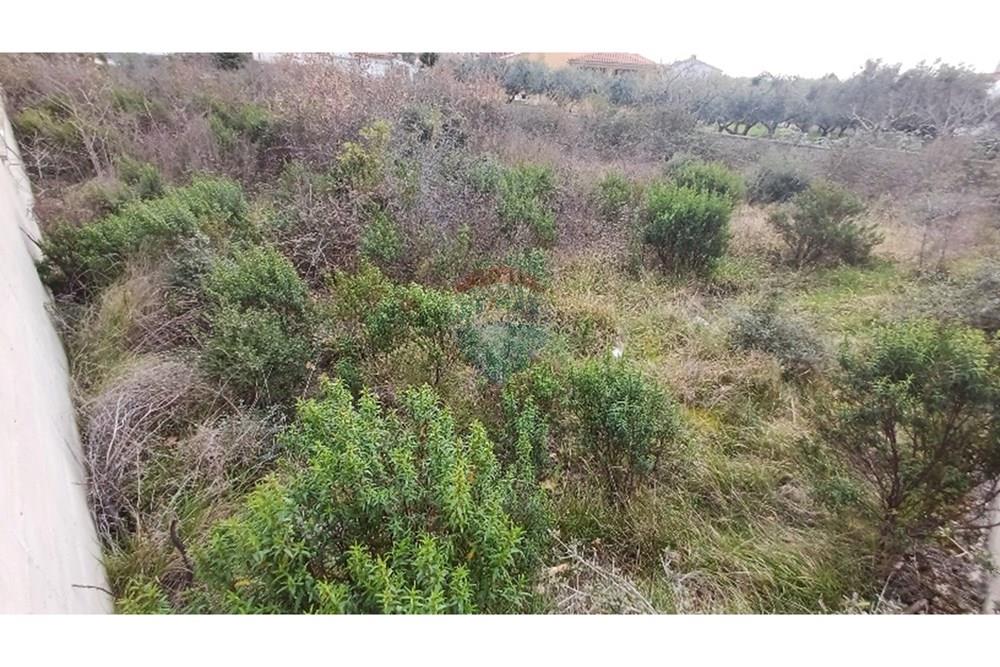 Residential - भूमि - Vodnjan, क्रोएशिया - HR - 20250321_095240_resized.jpg - 300041074-608