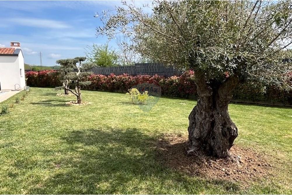 Kuća  - Za prodaju - Karojba, Hrvatska - IMG_8363.jpg - 300391028-413