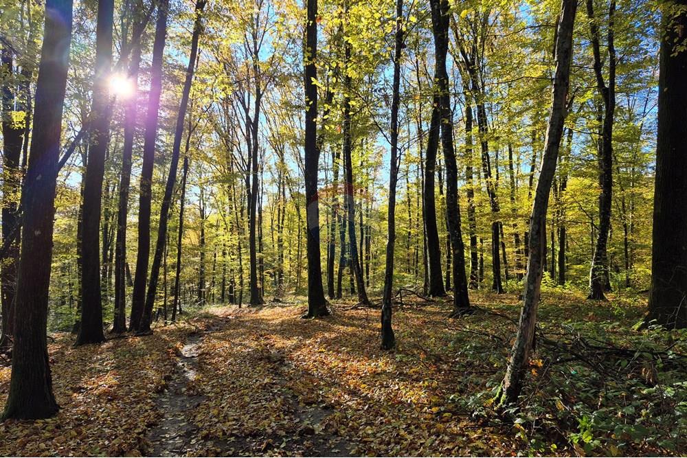 Građevinsko zemljište - Za prodaju - Petrinja, Hrvatska - 20251024_091437.jpg - 300761006-70