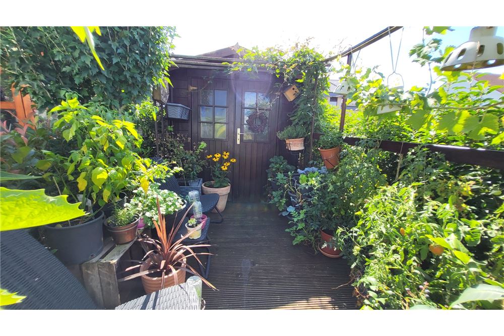 Prédio Habitacional - Apartamento - Mühlheim - Germany - 30 - 320891001-105