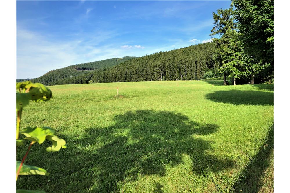 Grundstuck Wohnen Kauf Titisee Neustadt 350921001 752